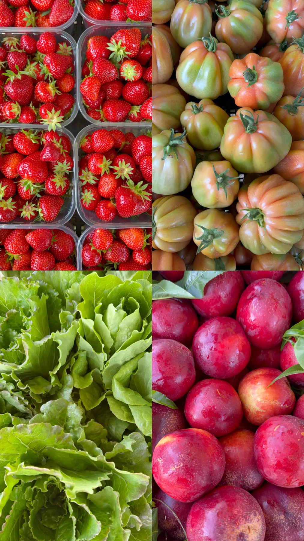 Selezione di prodotti freschi Agrinatural