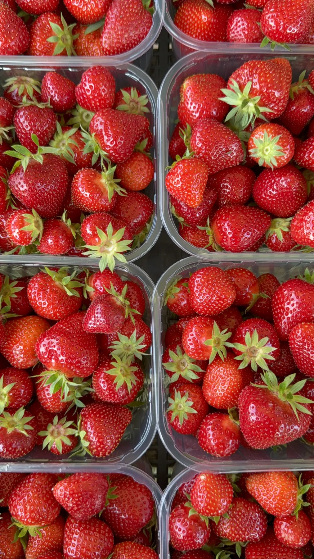 Fragole Agrinatural confezionate in cassette